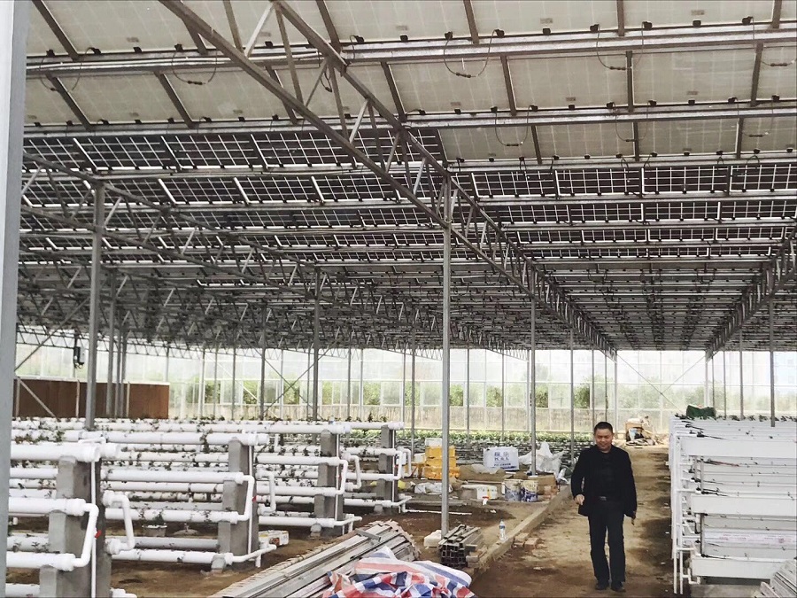 太陽能光伏蔬菜大棚，既能發電賺錢又能種菜賺錢實現雙營收